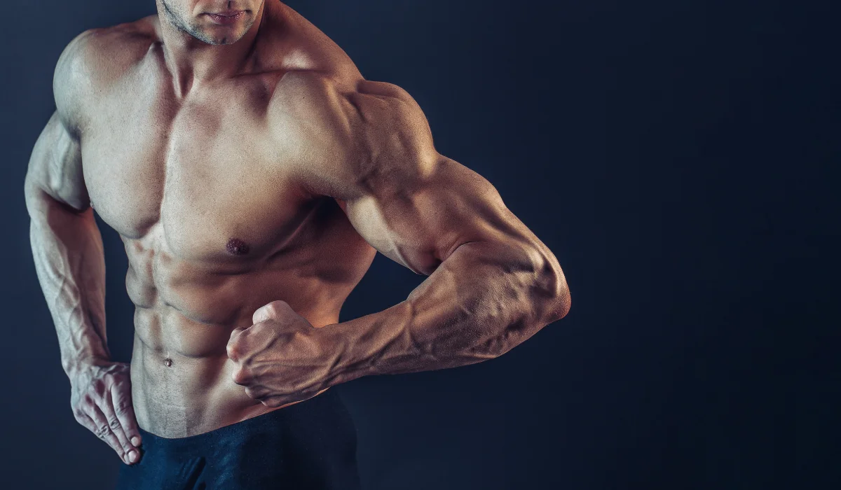 Flexed Tricep